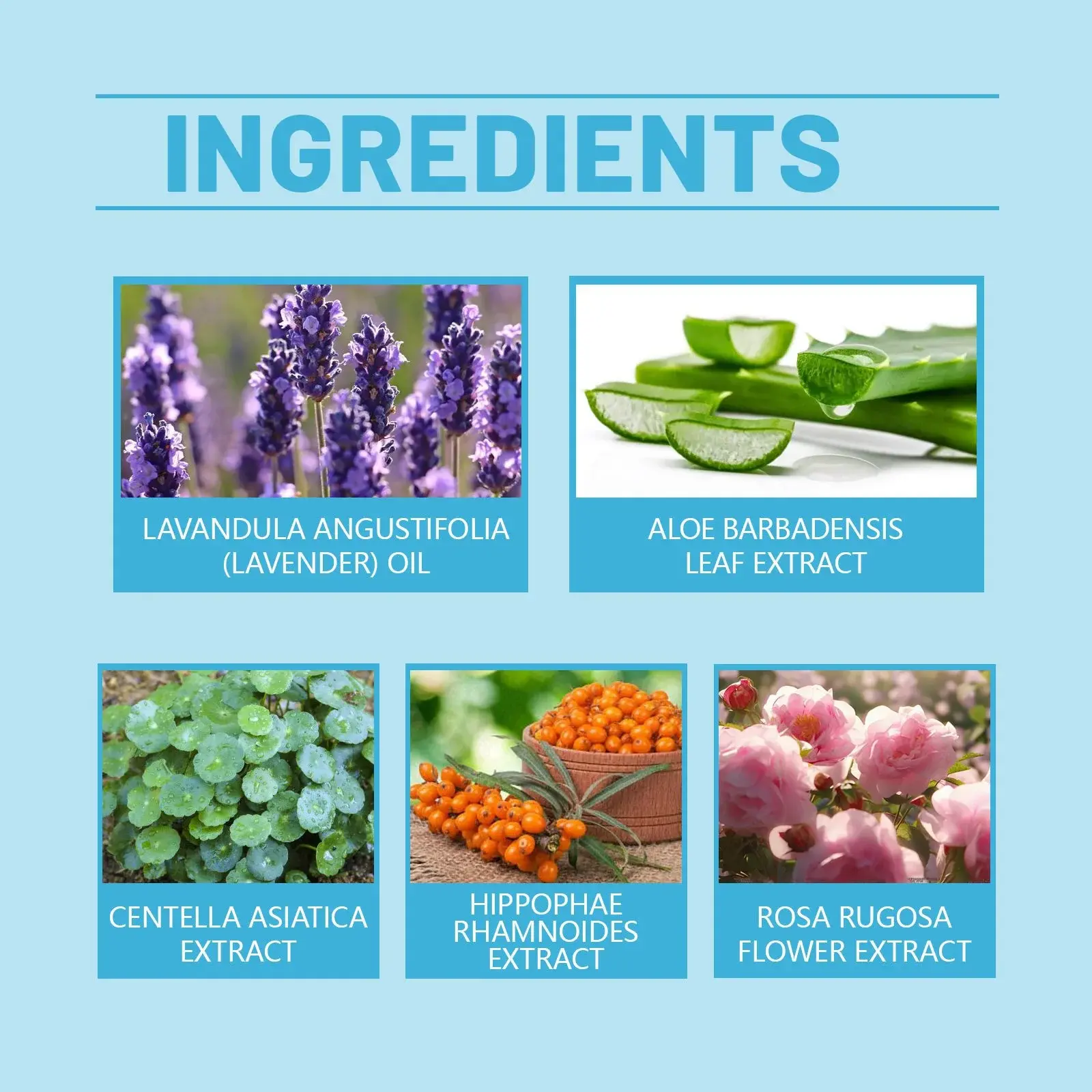 Firming Rejuvenating Face Pack - Hydrating & Pore Cleansing 3 E7B4A7E887B4E5ABA9E882A4E6B682E68AB9E99DA2E8869CEFBC88E6ACA1E68A9BEFBC89HO A05 0360 01 59626900
