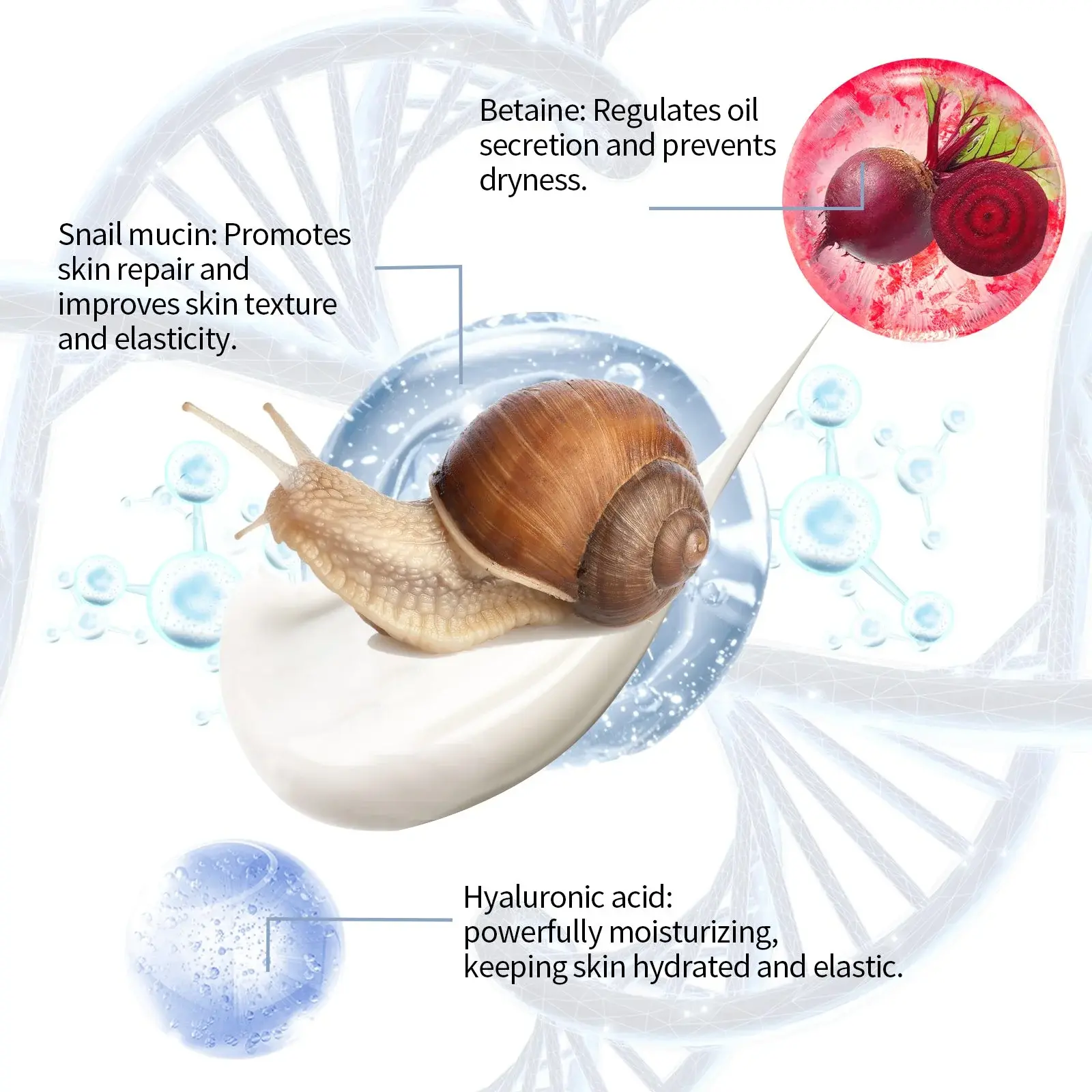 Snail Essence Cream for Dry Skin & Facial Repair 8 HO A05 0401 01 1725102074001