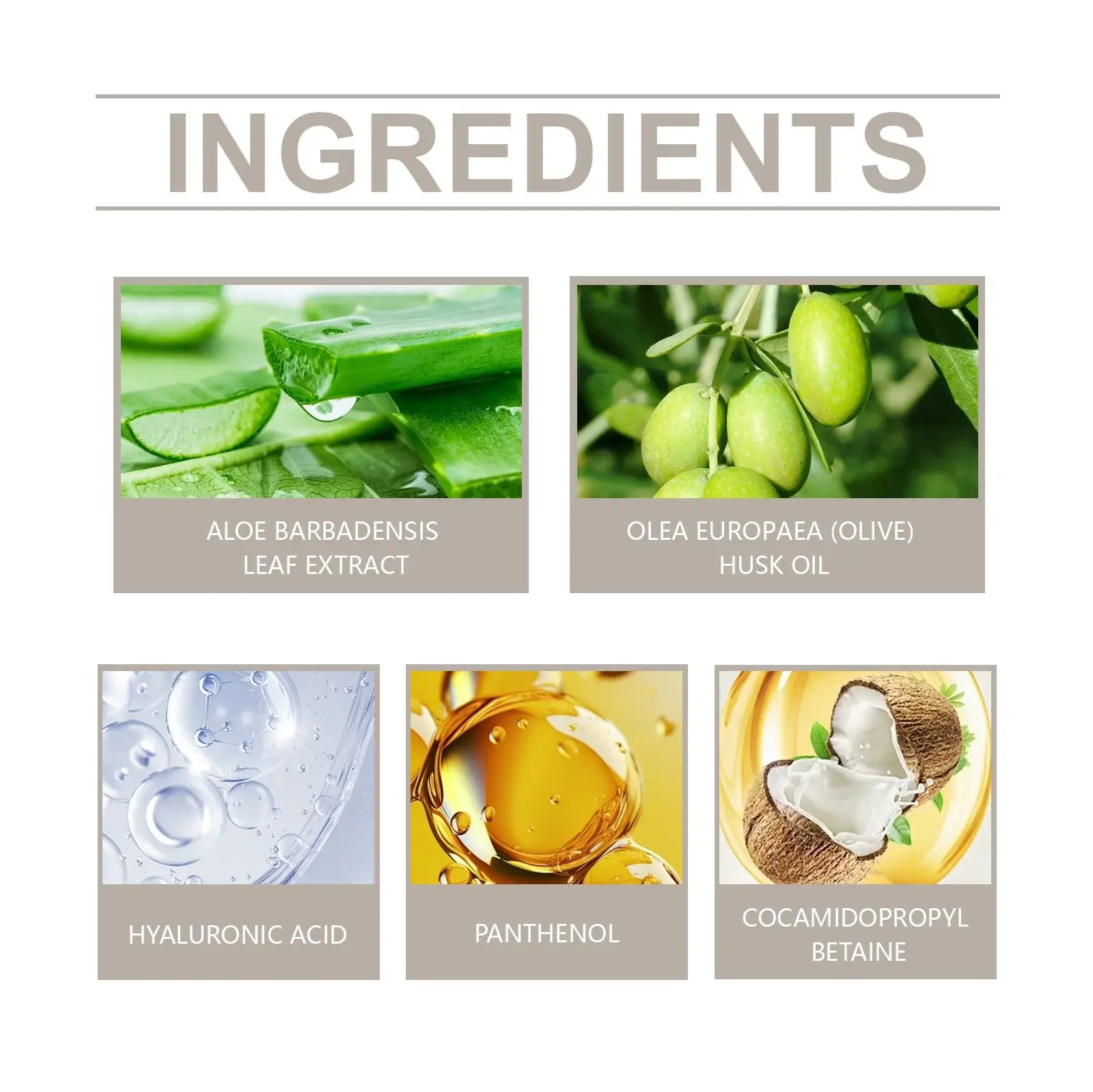 Amino Acid Gentle Moisturizing Facial Cleanser - Hydrating Formula 3 HO A05 0522 01 1729647058003