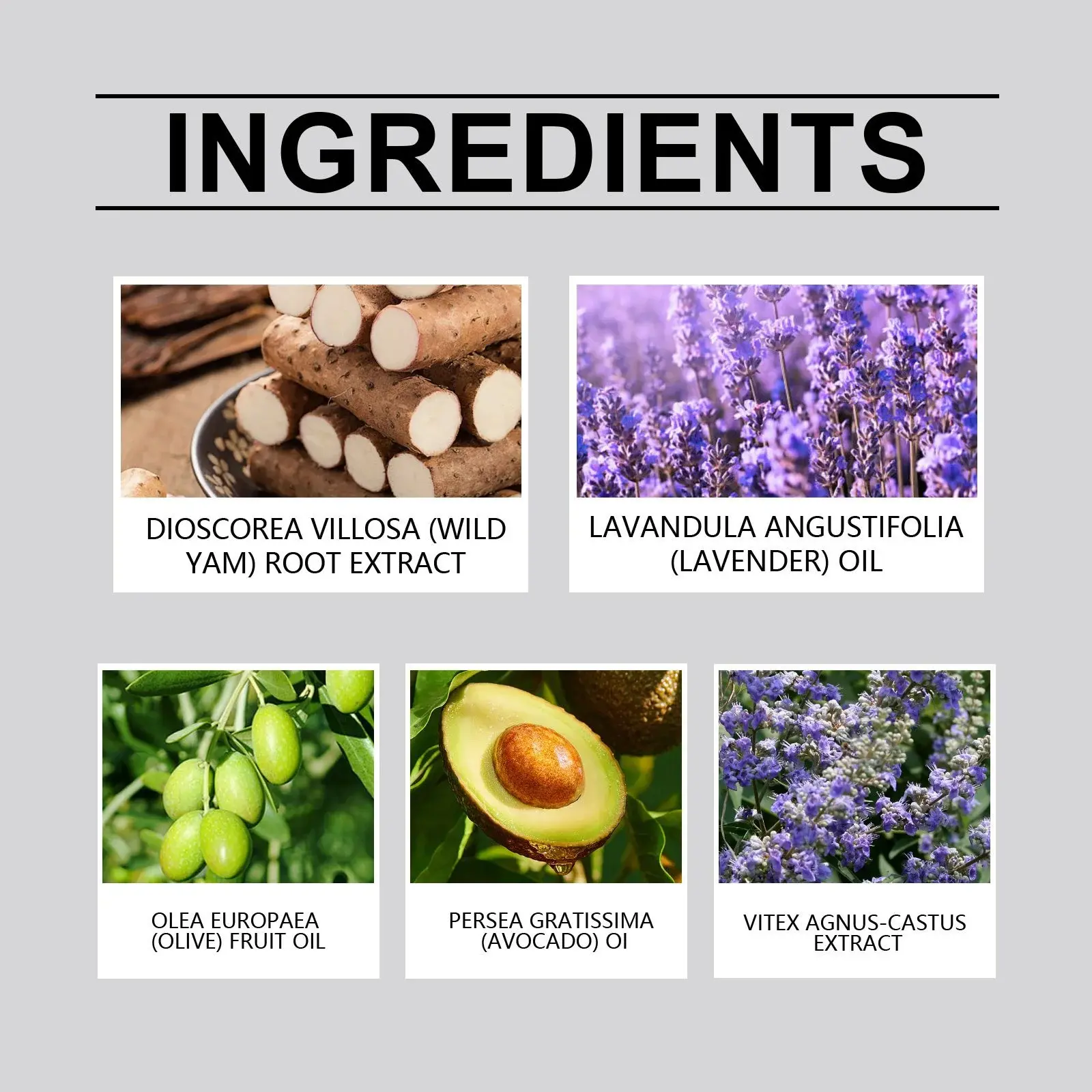 Wild Yam Balance Cream for Nourishing & Moisturizing Skin | Hoygi 3 HO A06 0057 01 1733537128014