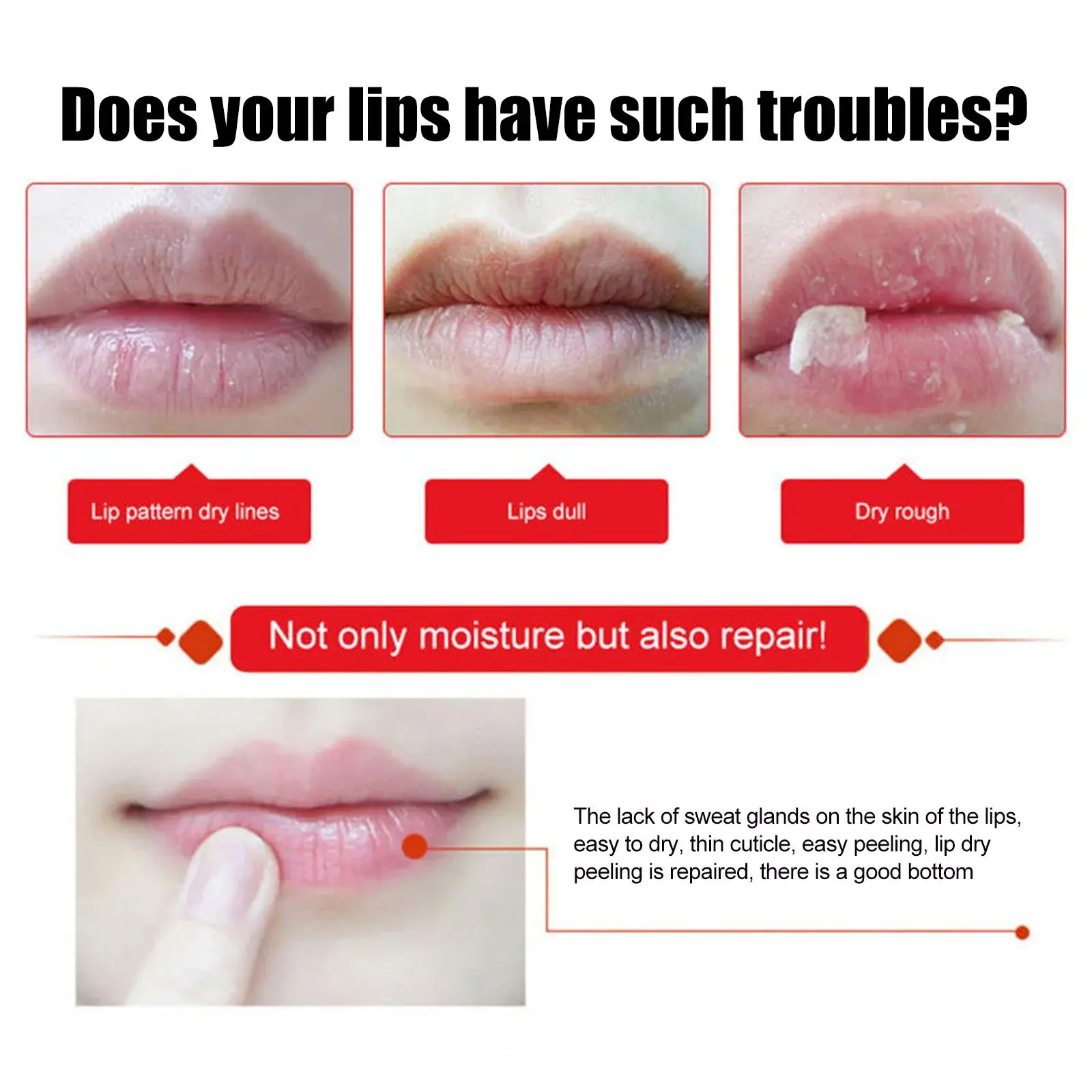Double Effect Lip Balm Moisturizing & Exfoliating Treatment - Hoygi 5 HOA02 A046 9 PK1 1735203653010
