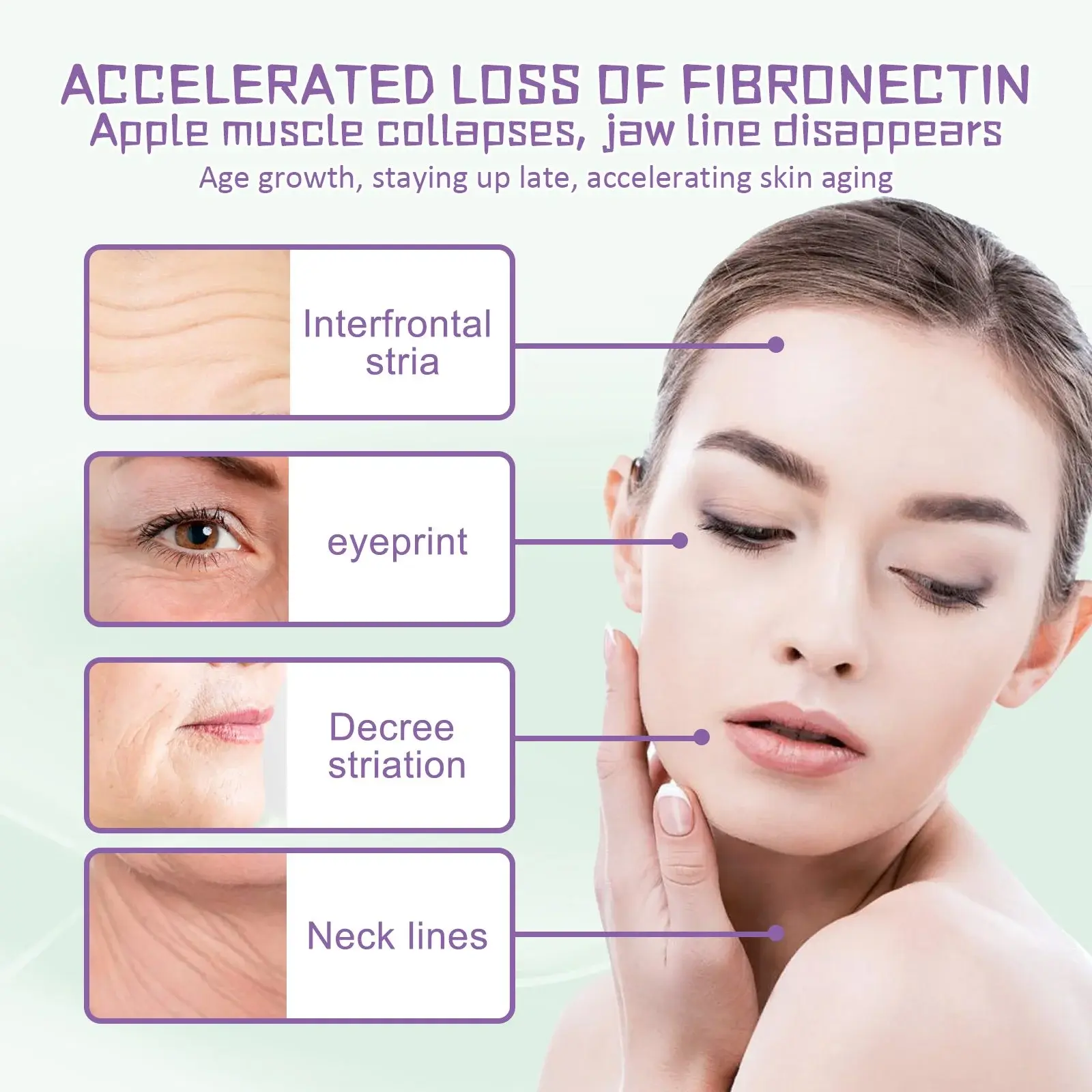 Delicate Smooth Fine Lines Cream - Firming & Moisturizing Formula 6 HOA03 A014 50 MX1 007
