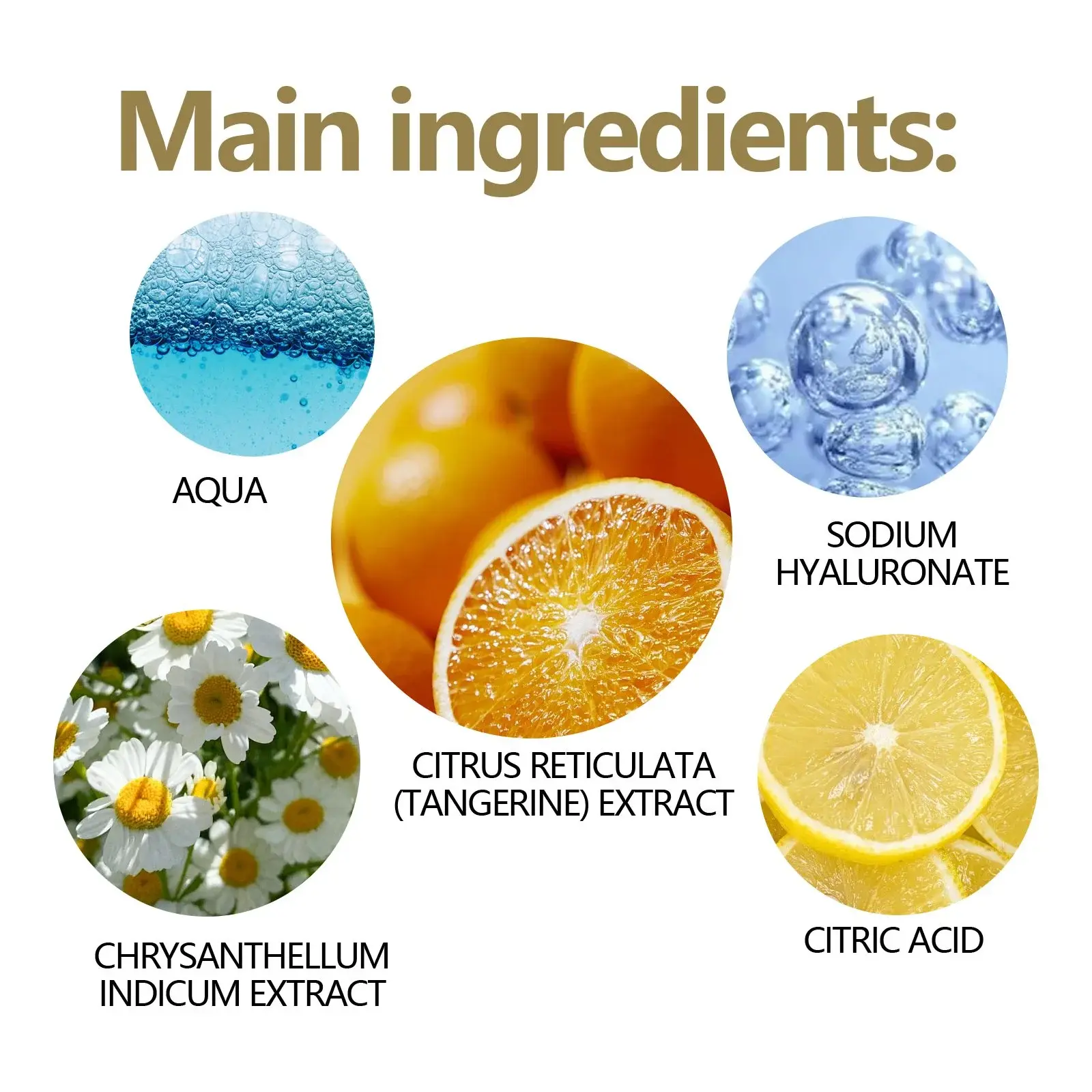 Citrus Stem C Serum - Anti-Aging & Wrinkle Reduction 3 HOA05 A009 30 BK1 003