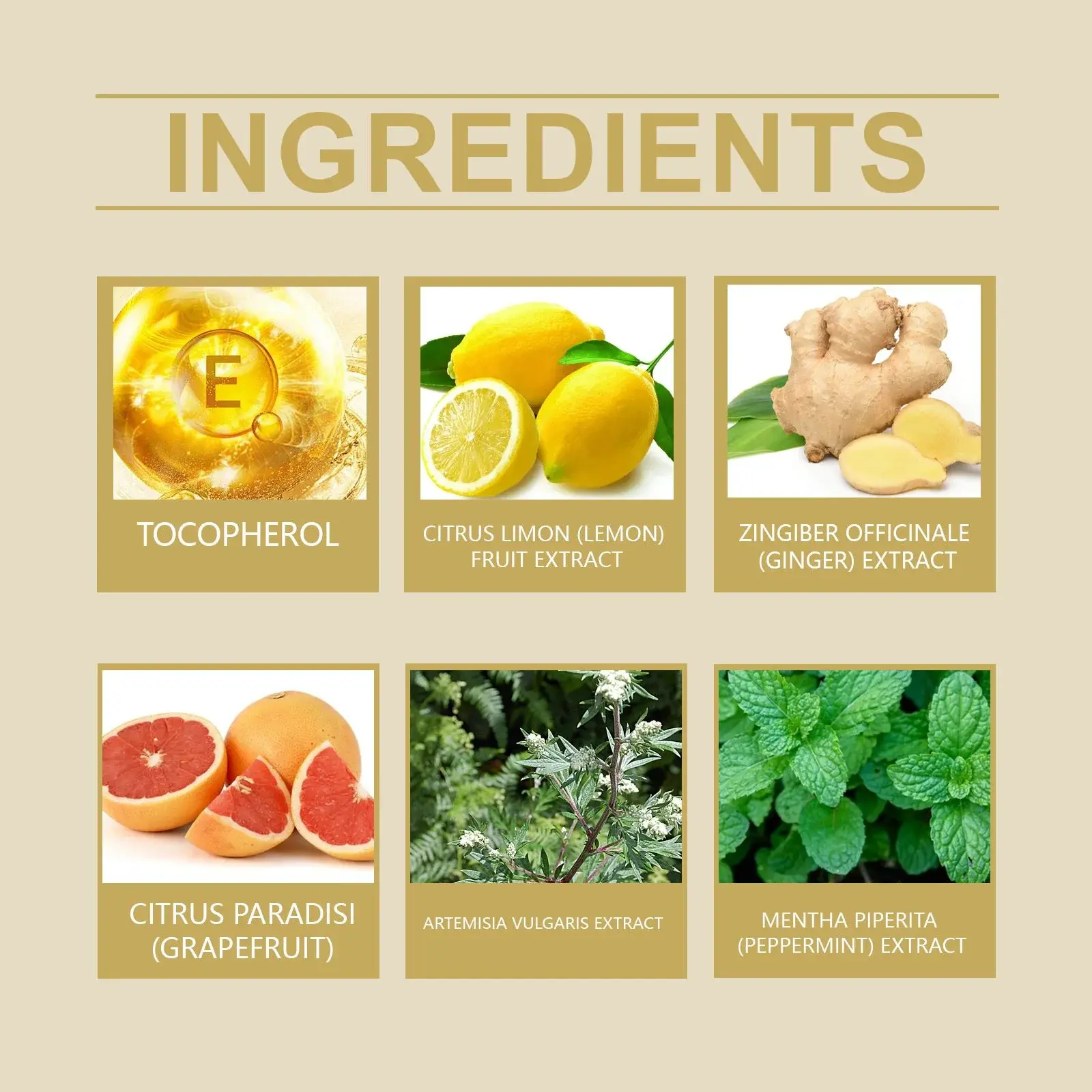 Grapefruit Body Firming Essential Oil - Revitalizing Massage Formula 3 HOA06 A018 30 WH1 003